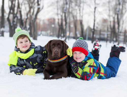 Embracing the Fun and the Challenges of Winter in Michigan